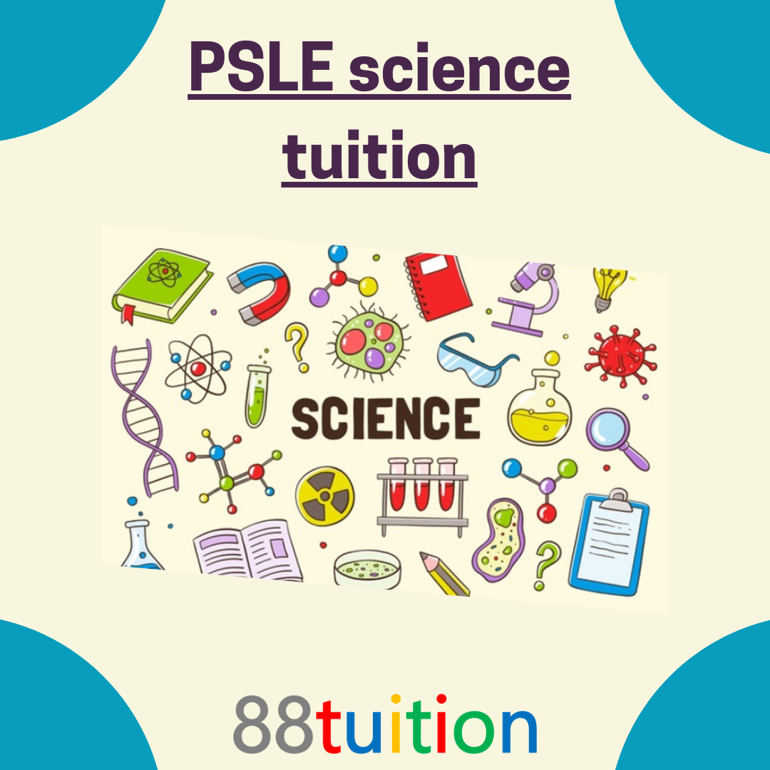 Importance of science tuition in academic growth of children 